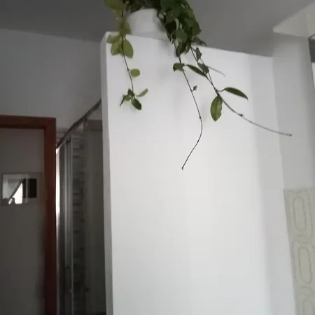 Su Recreu אלגהרו